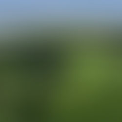 LES PYRAMIDES DE CAHOKIA (USA)