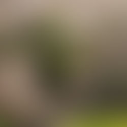 LA PYRAMIDE DE BOMARZO (ITA)