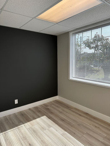 black accent wall with gray interior