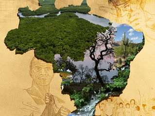 Campanha da Fraternidade Diocesana