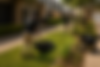 ChatGPT Image Jul 16, 2026, 10_18_30 AM.png