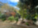 IMG_3871.jpeg