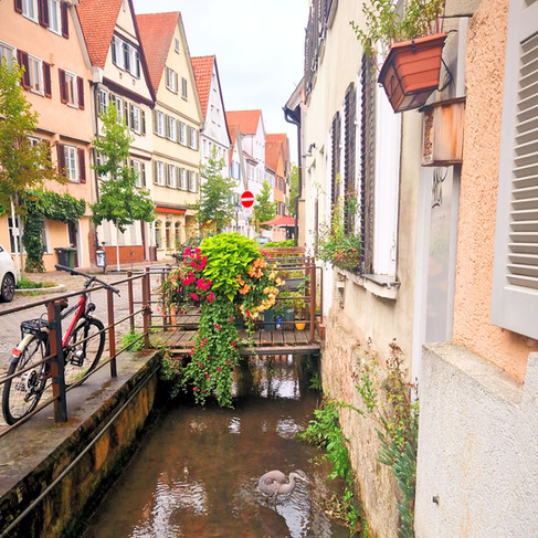 Narrow canal with a small bridge, bikes and flower boxes between Tübingen houses.
