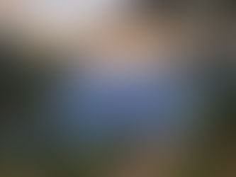 Sunset view over a mountain valley framed by pine branches; hiking trail viewpoint.