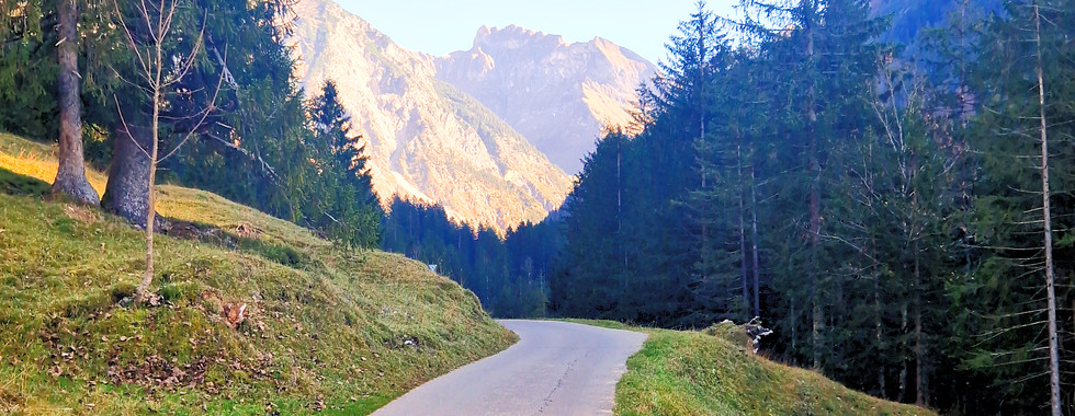 Paved valley path curving toward alpine peaks in low sun.