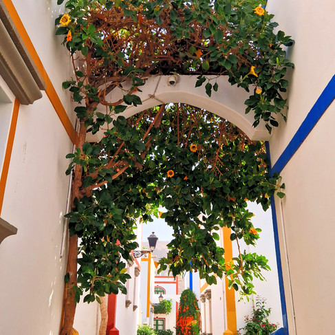 Colorful courtyard in Puerto de Mogán, Gran Canaria, with white houses, green wooden shutters, palm trees, tropical plants, and blooming orange flowers under blue sky.