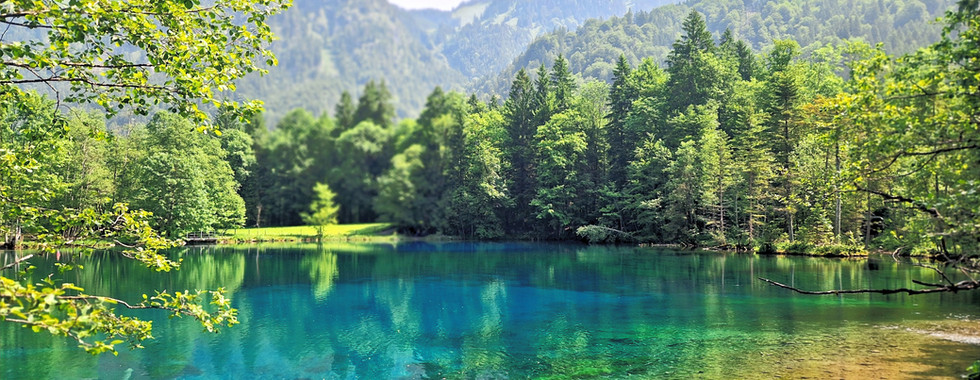 Turquoise alpine lake ringed by trees, crystal-clear water — Oberstdorf.