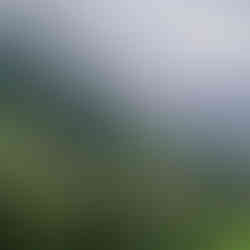 Alpine village in Brandnertal with green slopes and clouds hanging over the mountains.