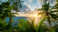 Tropical coastal view with palm trees and ocean during sunset, representing restorative travel and peaceful vacation scenery.