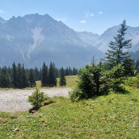 Alpine meadow above Brandnertal with forested ridges and distant peaks under billowing clouds.
