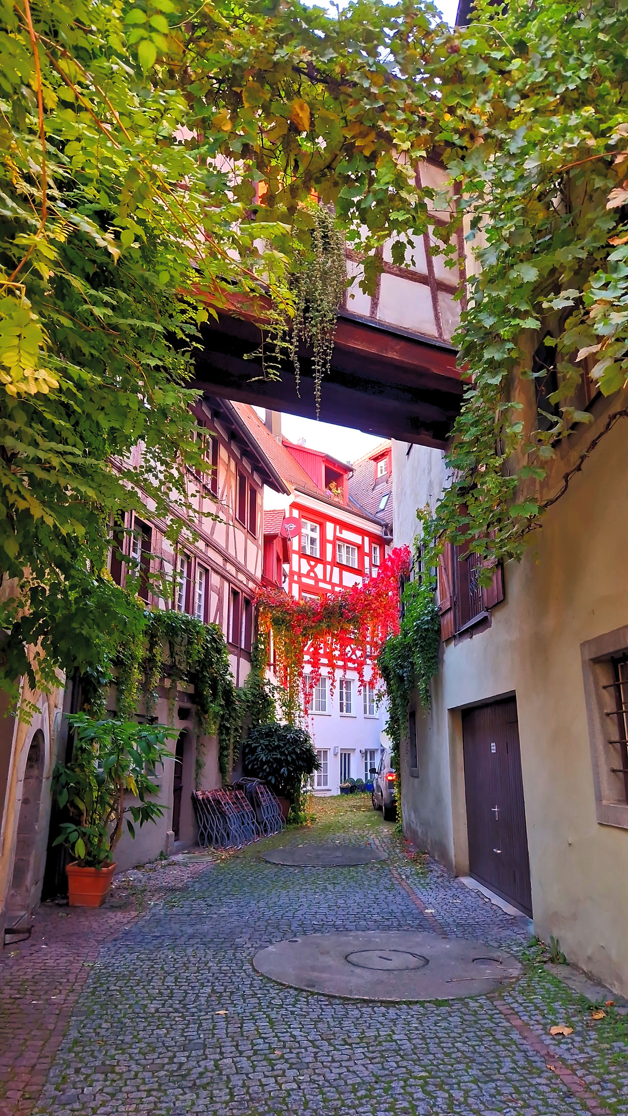 Narrow Meersburg alley with vines and red lanterns between half-timbered houses.