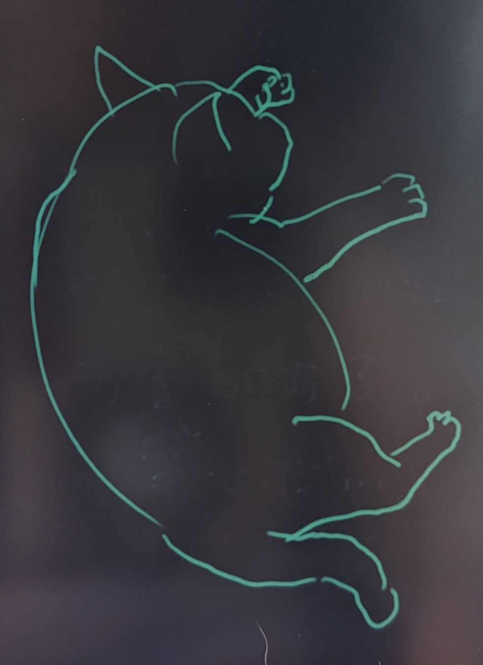 猫をスケッチ