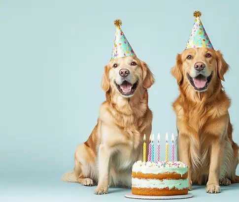 Pet Birthday.webp
