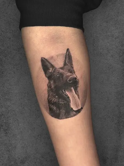 Realistic German shepherd portrait tattoo, intricate details, soft shading, forearm placement, male subject.
