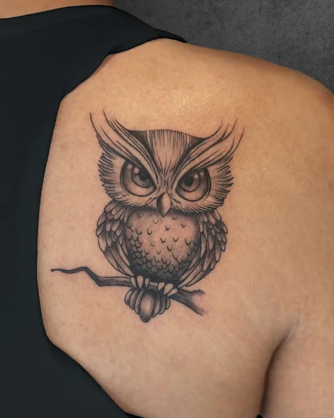 small couple owl tattoo tattoo