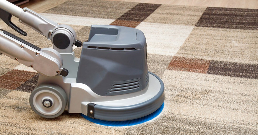carpet claning brush.jpeg