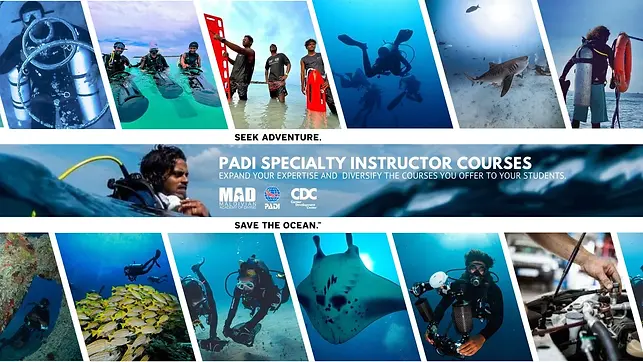 PADI_Instructor-Specialties_MSDT_PADIpros_Maldivian-Academy-of-Diving_Himmafushi.webp
