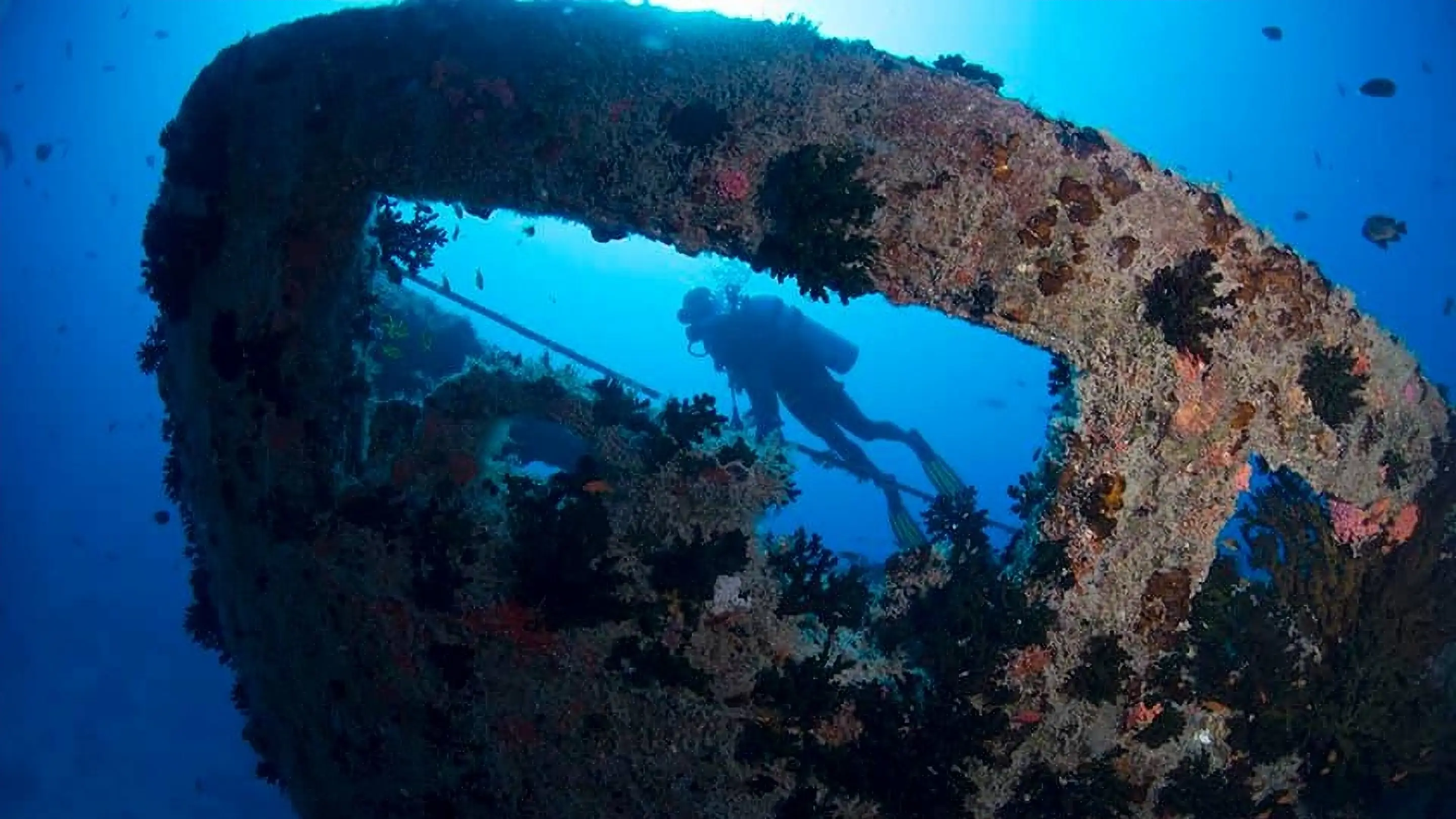 PADI Wreck Diver exploring the Maldivian Victory shipwreck with Dive Desk Male' and the Maldivian Academy of Diving Himmafushi in the Maldives.