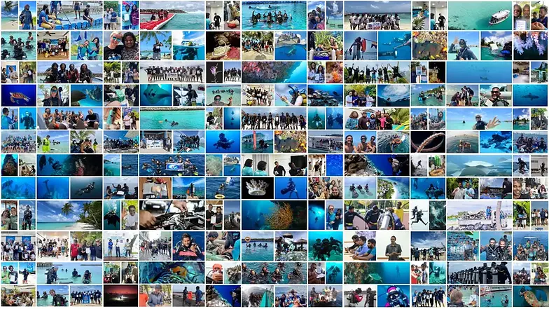 scuba-diving-maldives-malecity-himmafushi-idc.webp