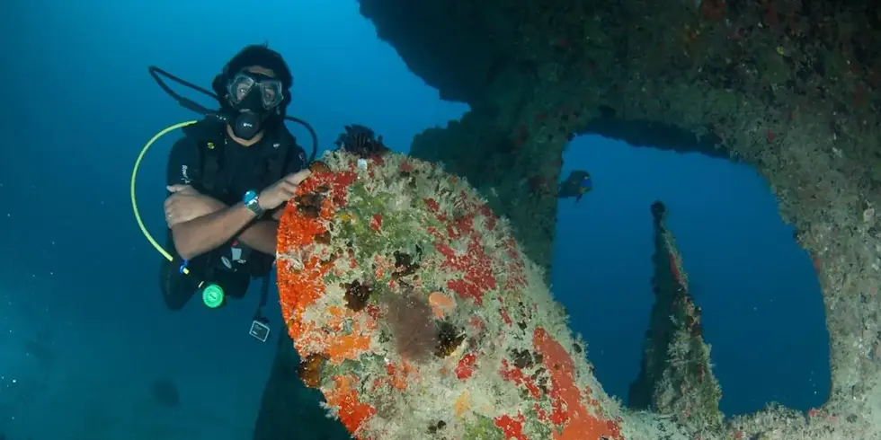 Scuba diver swimming near the giant propeller of the MV Victory shipwreck, now covered in corals and marine life.