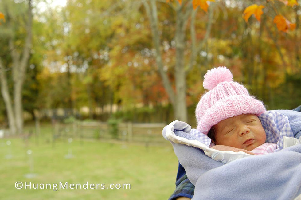 20041026 0029 A WM Low Res.jpg