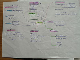 IMG_20200215_163204_resized_20200215_043