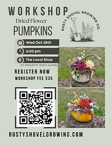 Workshop_ Dried Flower Pumpkins Flier_20261017_112159_0000.png