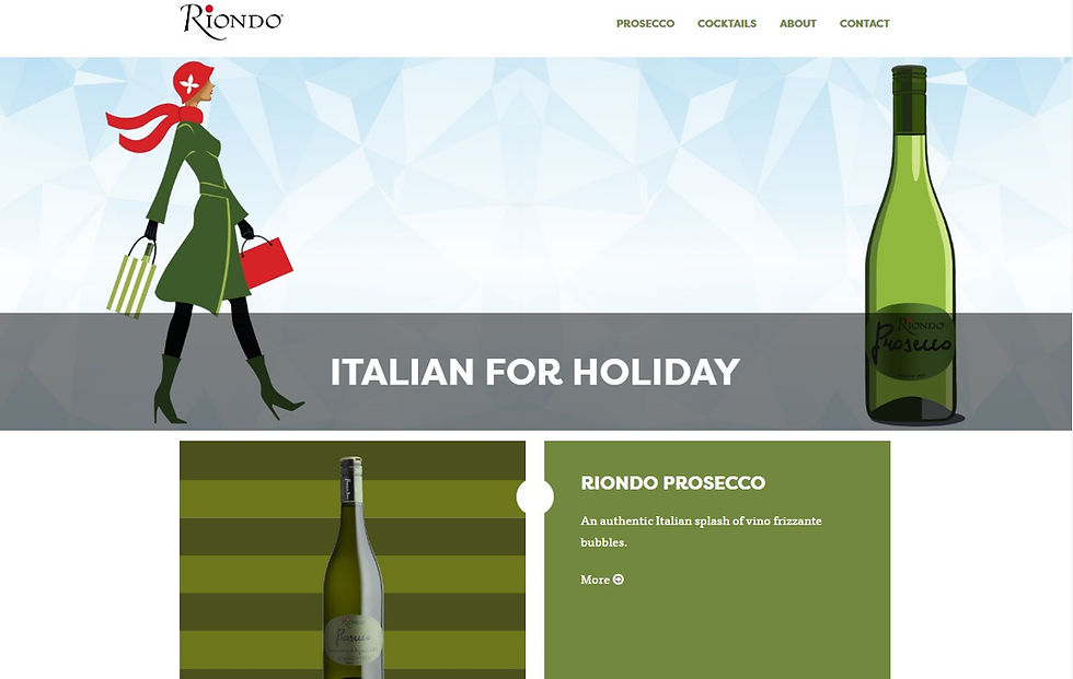 Riondo Website, 2016