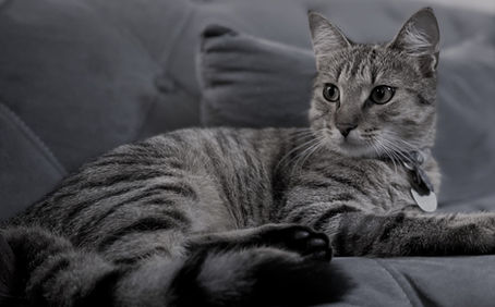 Launching a Business is Scary