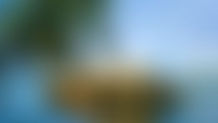 Os encantos de Kerala