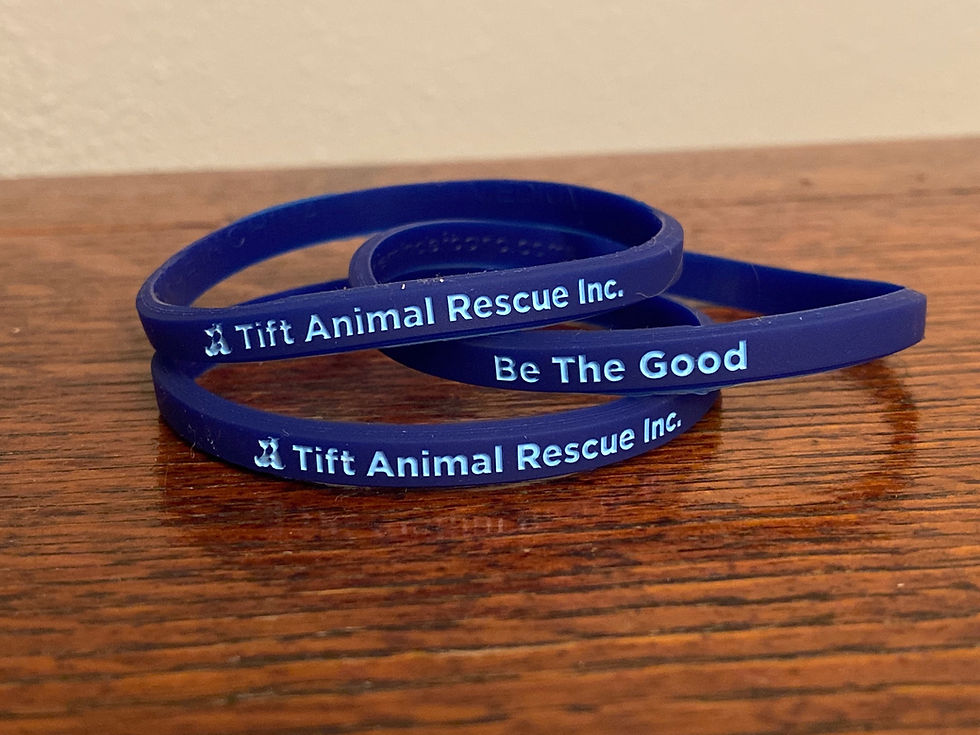 Thumbnail: Bracelets