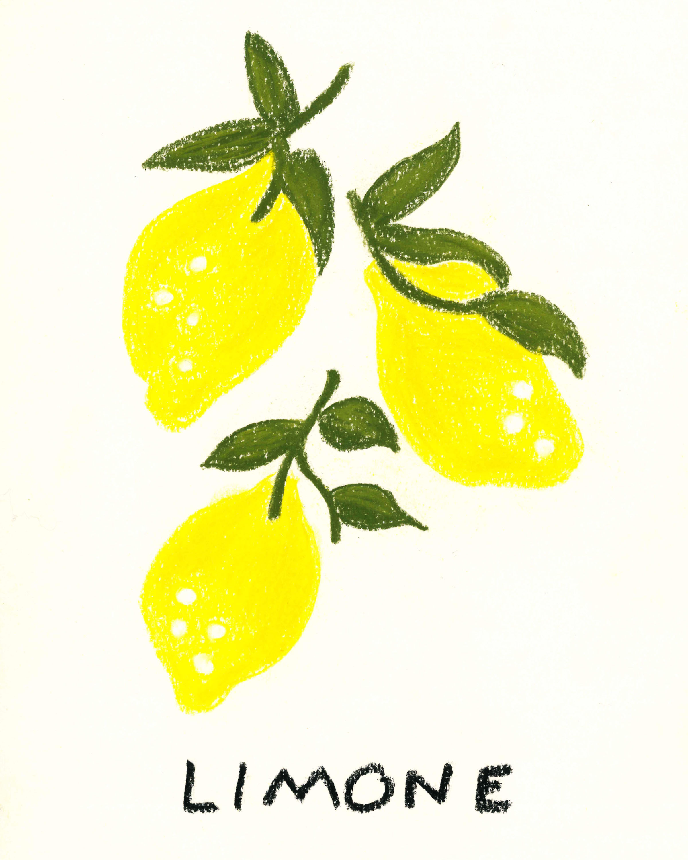 Limone 8x10