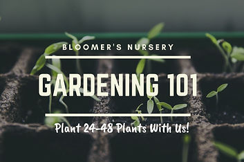 beginner%20gardening%20worshop_edited.jp