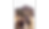01 IMGP6378.png