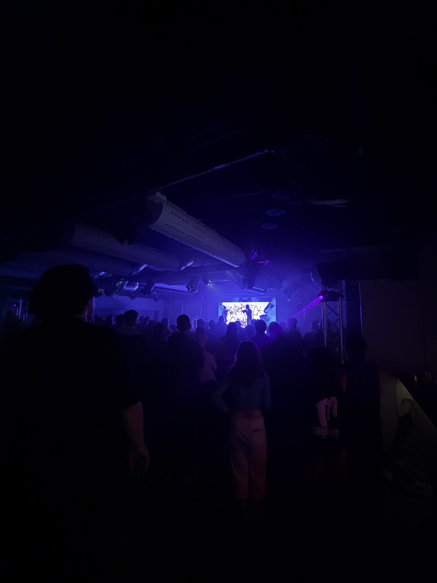The audience watching Genderfuck Cabaret by House of Q under purple stage lighting