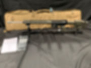 ar10.jpeg