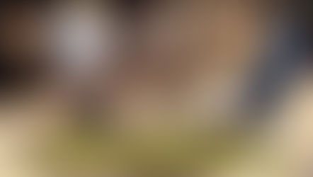 ATTACK OF THE MINI-CHADS WITH SARAH COLONNA AND JON RYAN