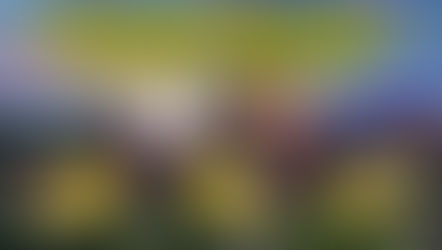 "THE SLEEPY SUITOR!" w/ Paget Brewster, Jacquis Neal and Brendan Smith