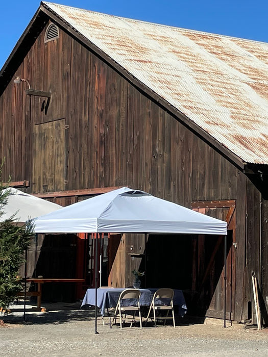 Olive Us Oasis Welcome Tables