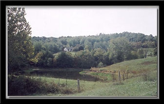 2-F-yard-1.jpg
