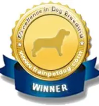 EX Winner-Bage