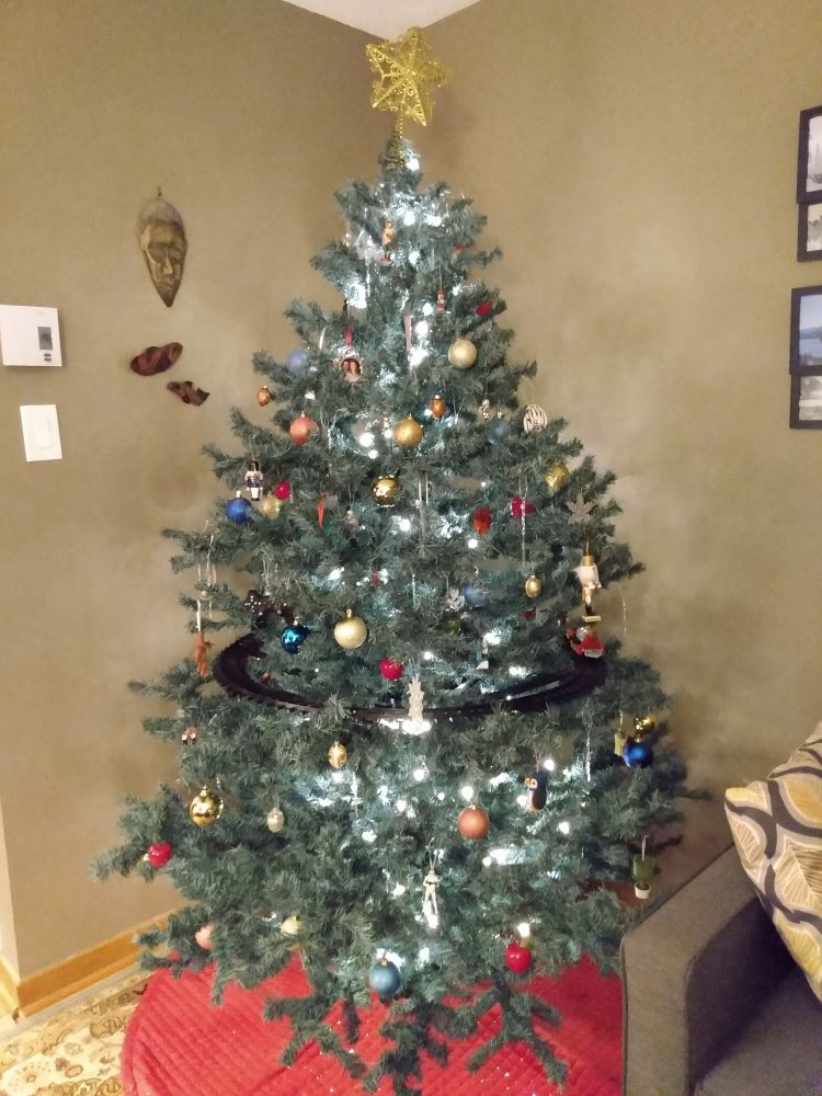 Our roughly 8 foot tree in the living room