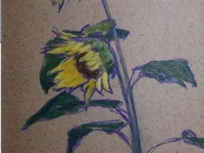 年賀状の季節に喪中はがきの中の一つです。