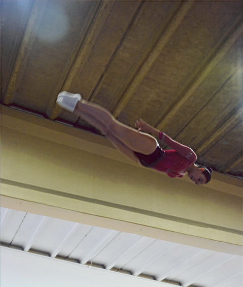 _DSC0489_edited.jpg