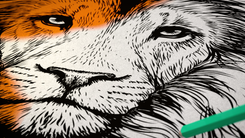 vlcsnap-2021-01-04-16h15m09s207.png