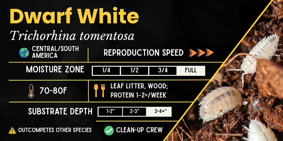 Thumbnail: Isopod Species Label