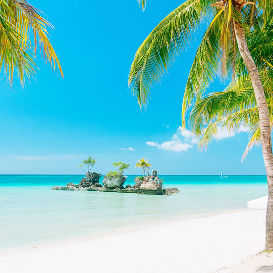 Pristine Boracay beach with palm trees, turquoise water, and clear skies