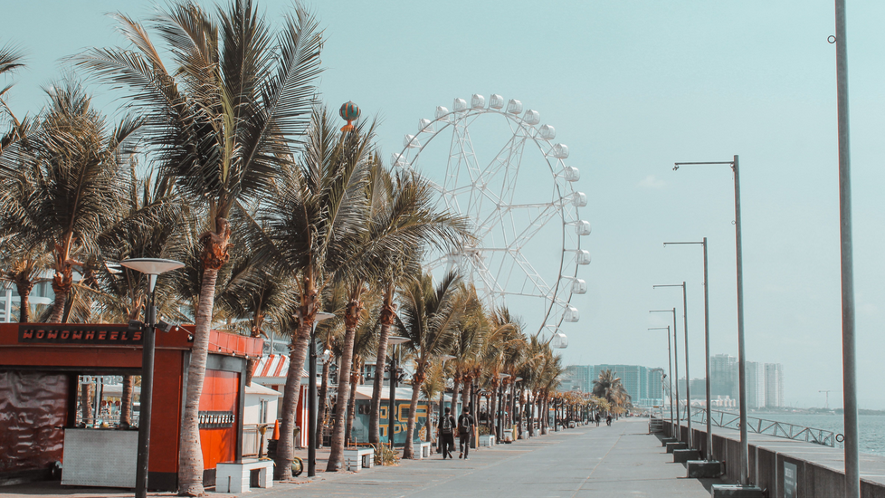 Seaside promenade lined with palm trees and a large Ferris wheel visible in the distance