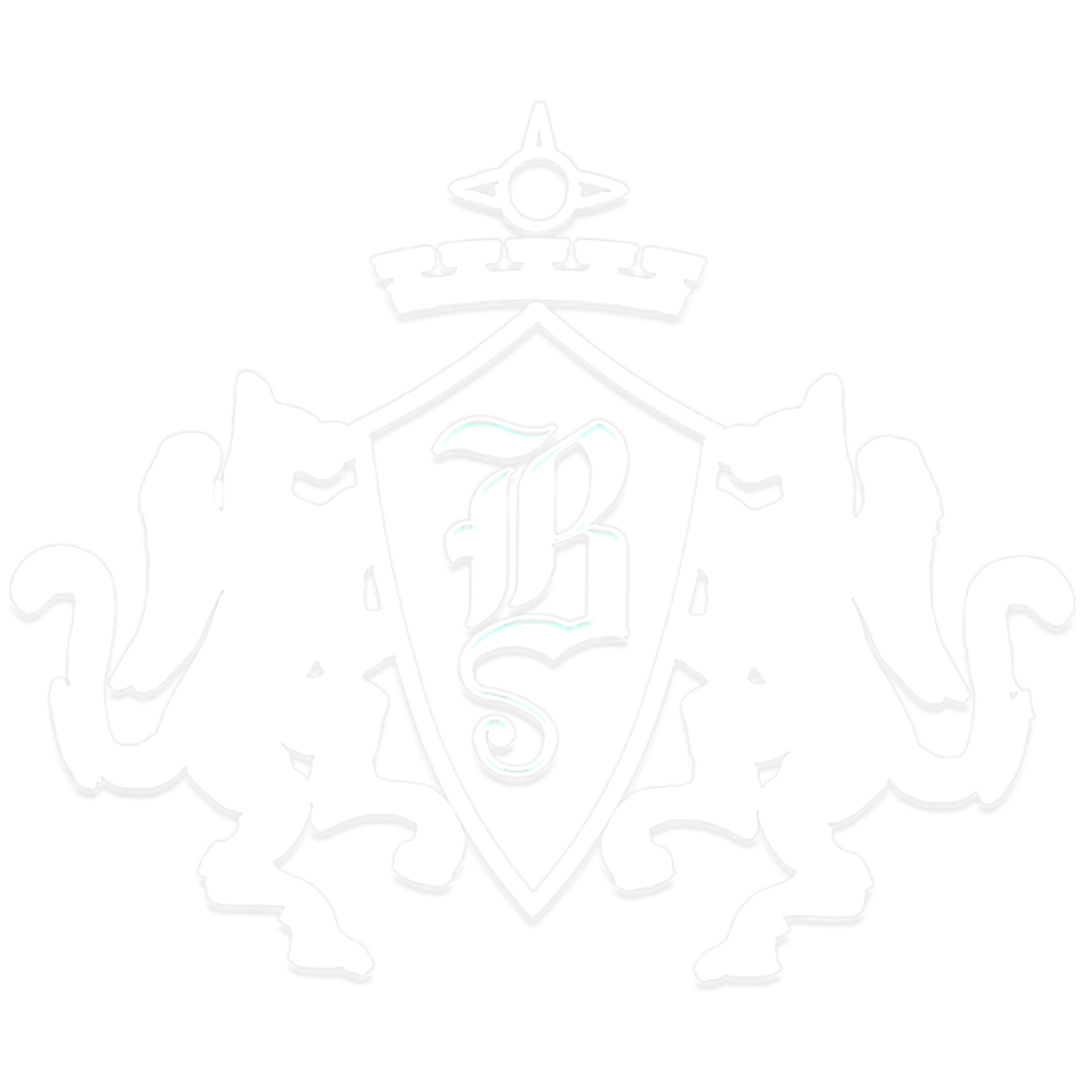 RCI WEBSITE ASSETS (2).png