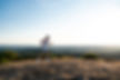 Steve_Colling_Run-1.jpg